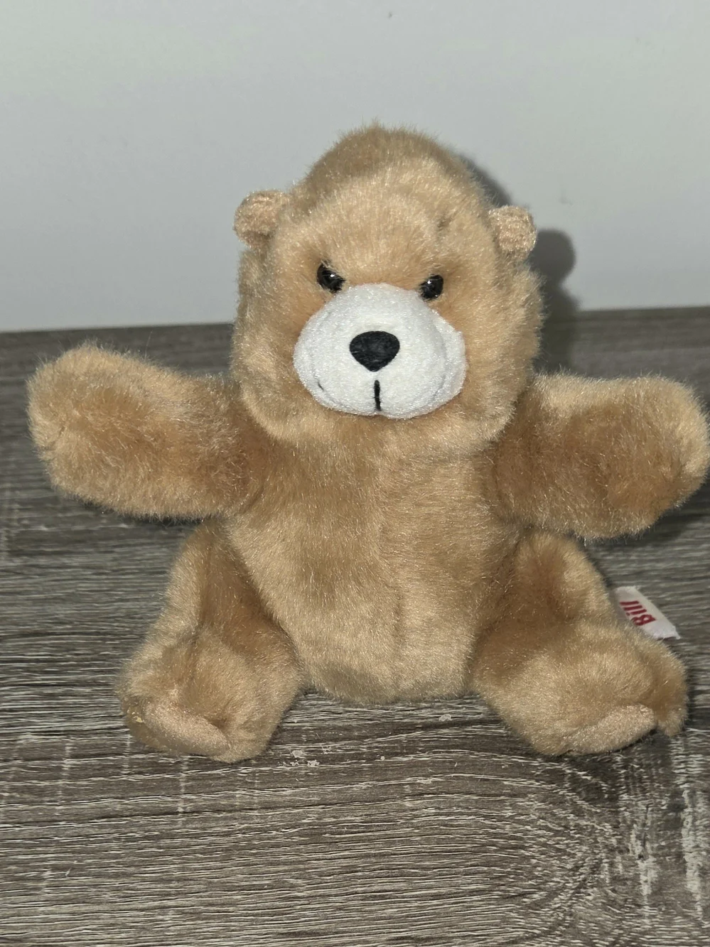 Charmin Plush 2005 Little Teddy Bear Bill 5.5